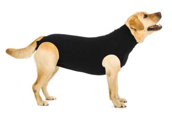 Hundebody Recovery Suit